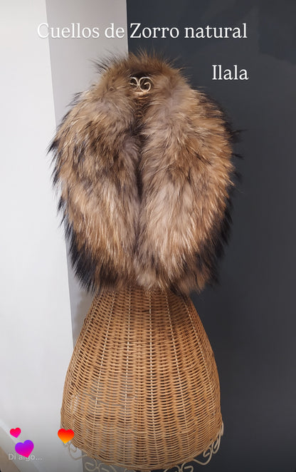 Cuello Zorro Camisero